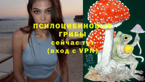 скорость Балахна
