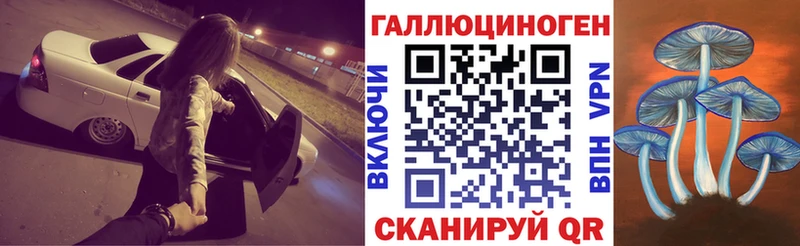 закладка  мориарти формула  KRAKEN ссылка  Псилоцибиновые грибы мухоморы  Сегежа 